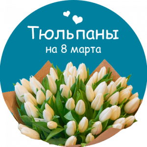 Купить тюльпаны в Белореченске